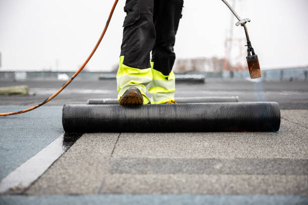 Best Roof Moss and Algae Removal  in West Grove, PA